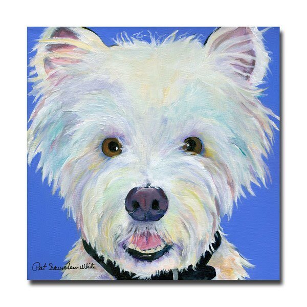 Pat Saunders-White 'Amos' Canvas Art, 24x24, Trademark Fine Art, Mfr#: PS085-C2424GG